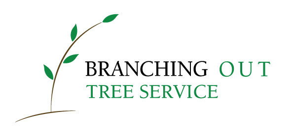 Branching out