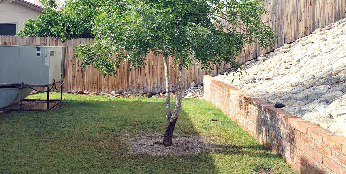 Choosing a fence for your Tucson yard