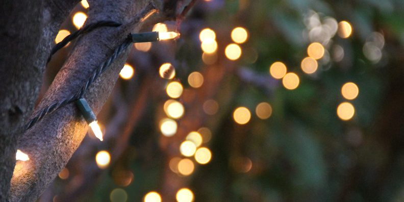 Tree with Lights